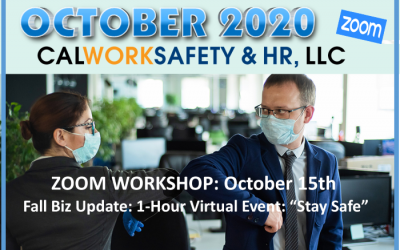 Fall Biz Update: 1-Hour Virtual Event: “Stay Safe”