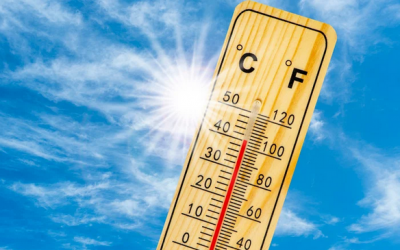 Beat the Heat and Citations – Review Your California Heat Illness Prevention Plan and Procedures